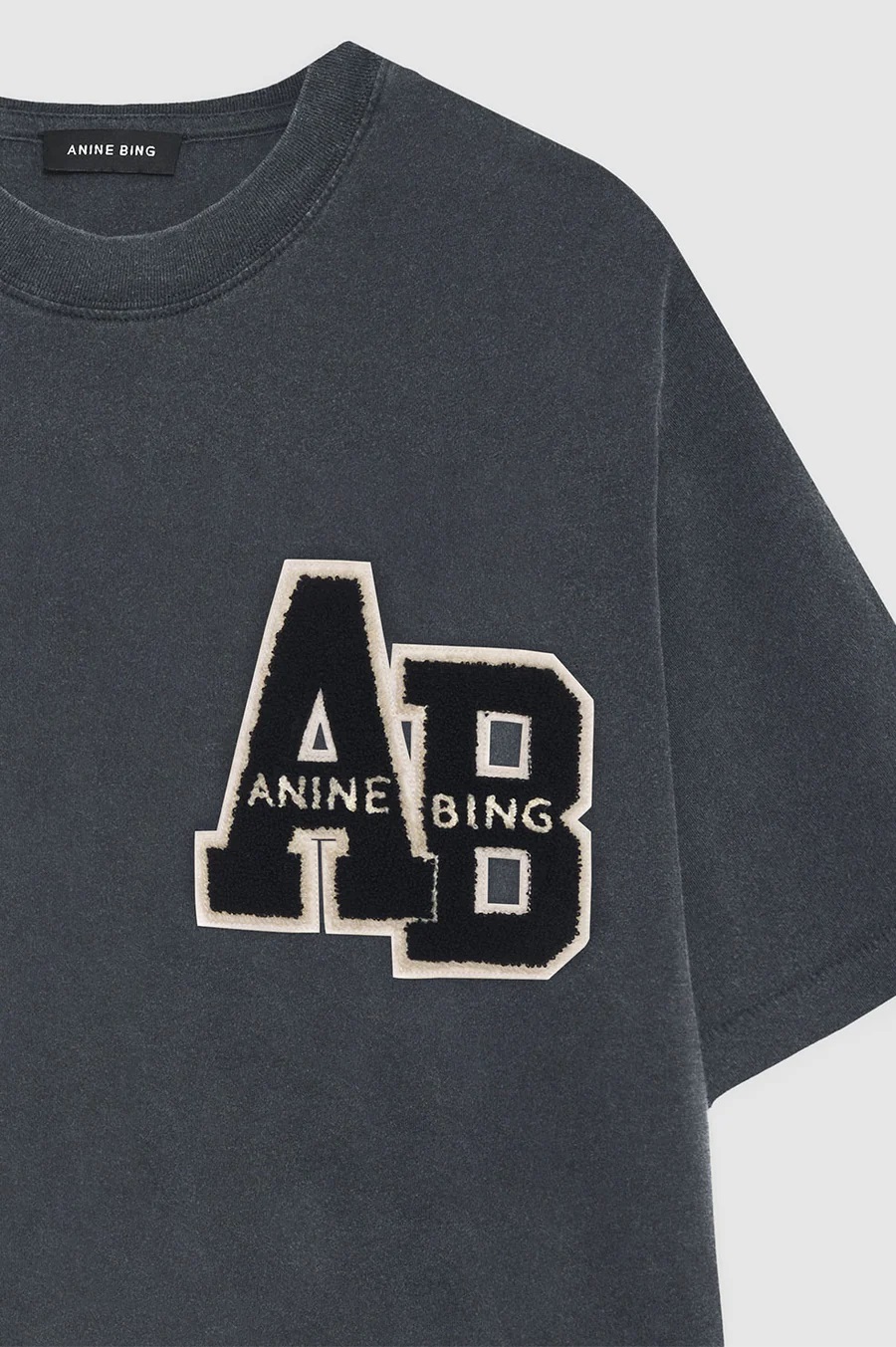 Anine bing tshirt dress online